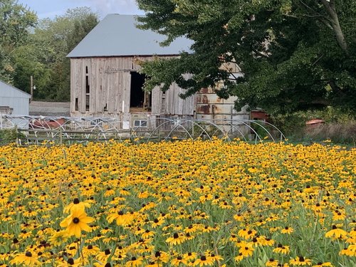 M_Barn+and+Meadow+Oct+2021