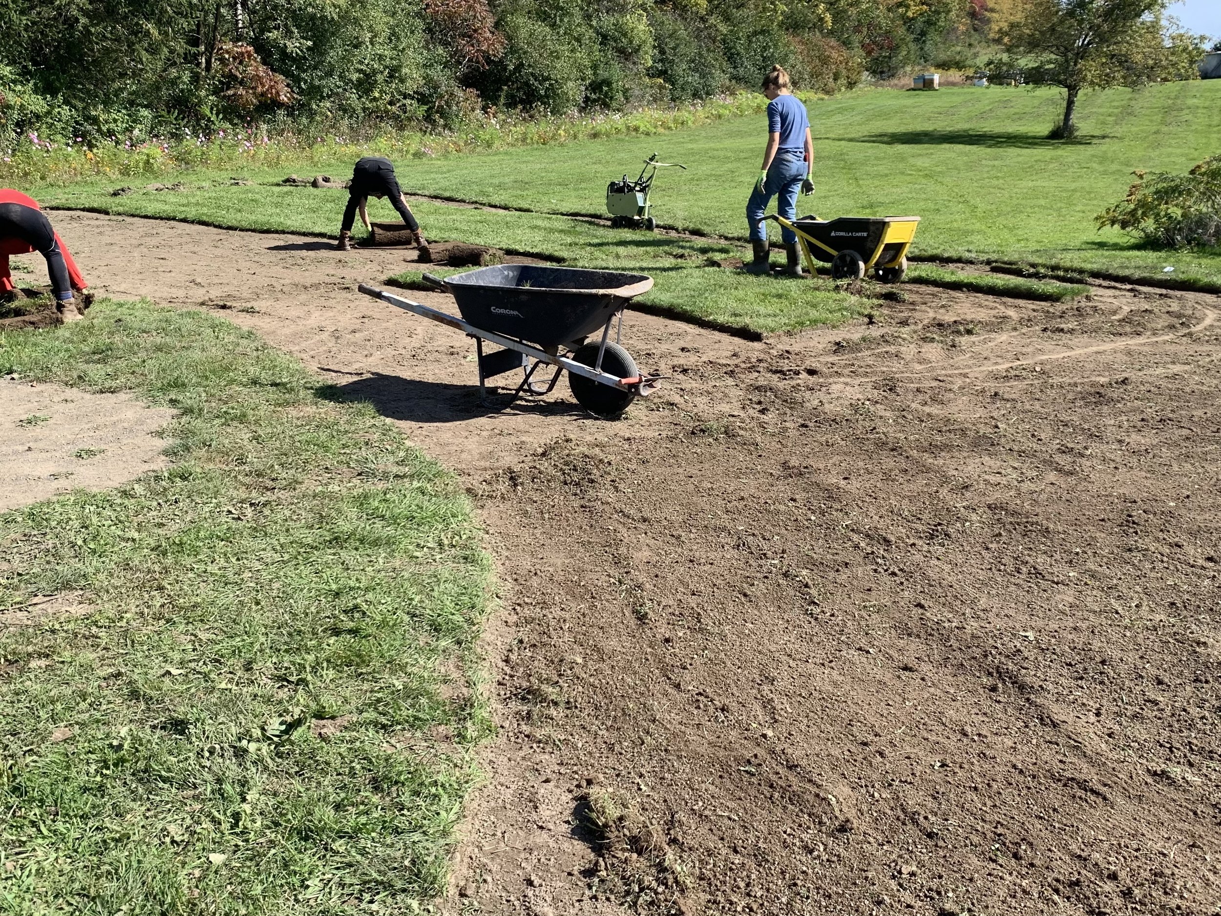 Meadows and Ecologically Functional Gardens:            how to install?