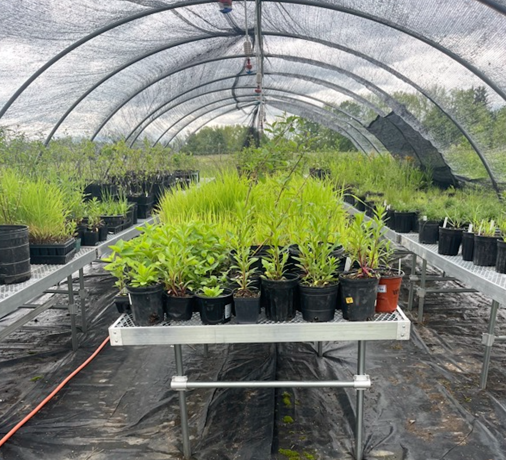 $ Critical Funding Needed for Seed Supply Chain $