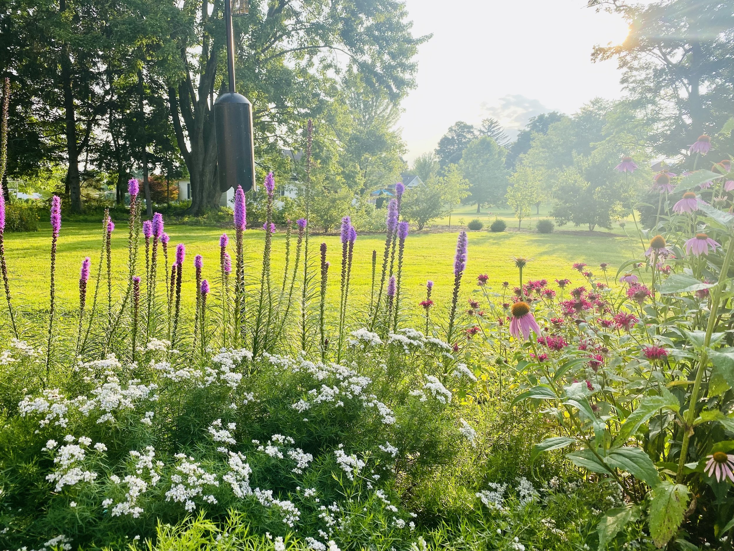 A cornucopia of legislation to nurture biodiversity