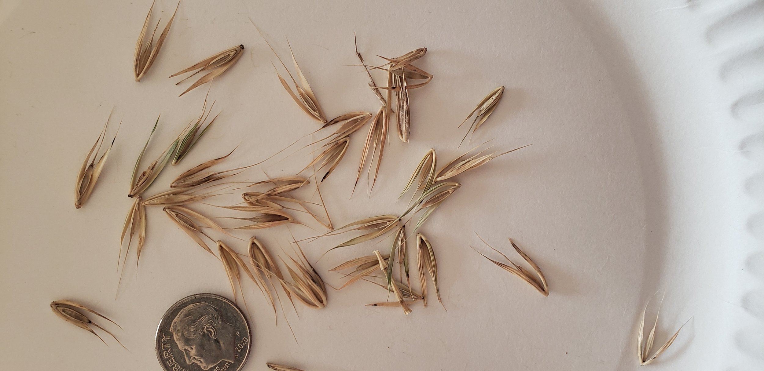 Check out Mid-Atlantic Regional Feed Bank’s Work